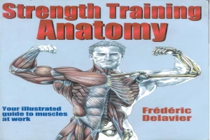 strength training anatomy